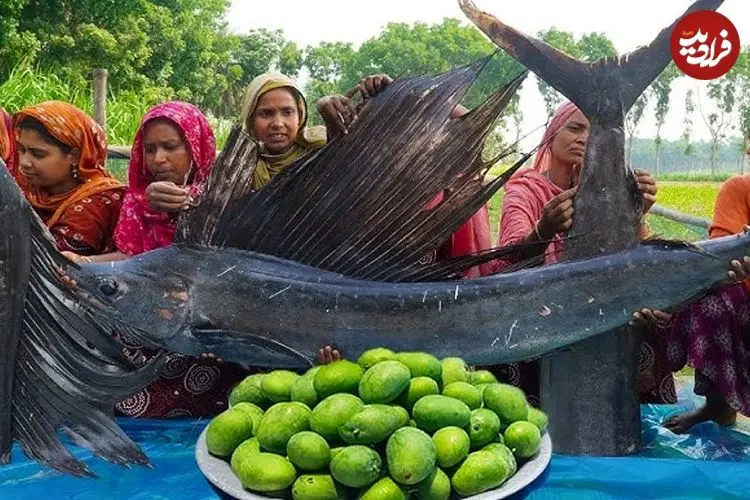 ببینید| غذای روستایی در هند؛ پخت غذا با دو شمشیر ماهی غول پیکر و تهیه آب انبه در طبیعت