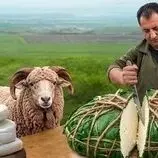 ببینید| غذای روستایی در آذربایجان؛ تهیه پنیر سنتی و پخت خاچاپوری در کوهستان