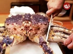 ببینید| غذای خیابانی در ژاپن؛ تهیه چند غذای لوکس با شاه خرچنگ آلاسکایی در ساپورو