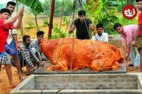 ببینید| غذای روستایی در هند؛ کباب یک بوفالو 500 کیلوگرمی در تنور زیر زمینی