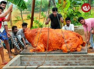 ببینید| غذای روستایی در هند؛ کباب یک بوفالو 500 کیلوگرمی در تنور زیر زمینی
