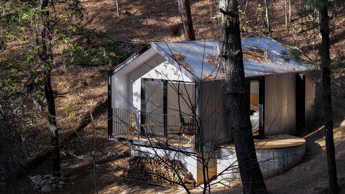 (تصاویر) وقتی معماری تجربۀ زندگی در جنگل را تغییر می‌دهد