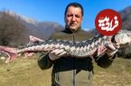 (ویدئو) غذای روستایی محبوب در آذربایجان؛ پخت غذا با ماهی خاویاری 16 میلیونی