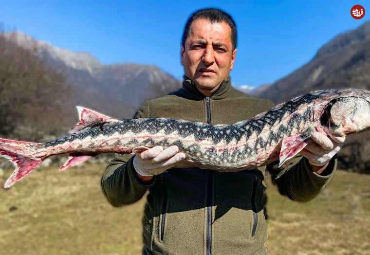 (ویدئو) غذای روستایی محبوب در آذربایجان؛ پخت غذا با ماهی خاویاری 16 میلیونی