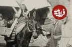 عکس| سفر زمان؛ «قاطرها و کجاوه‌های مسافربری» در حیاط یک کاروانسرا؛ دوران قاجار