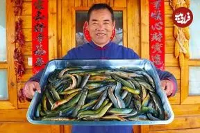 ببینید| غذای روستایی در چین؛ پخت یک غذای سنتی محبوب با ماهی لوچ