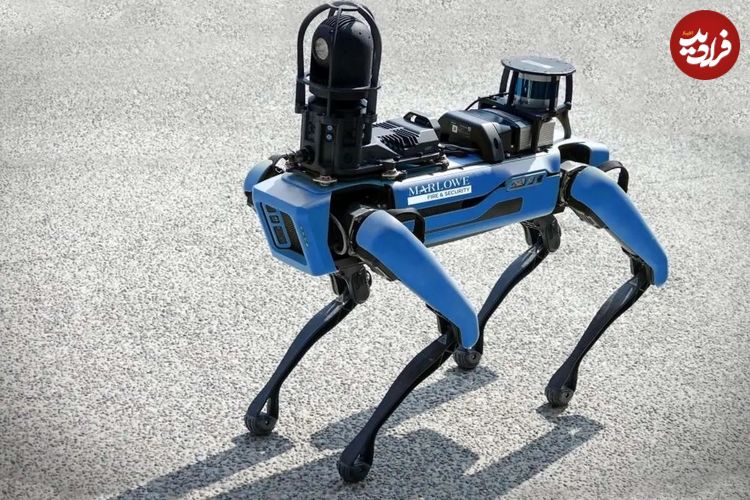ببینید؛ شگفت‌زدگی از دیدن یک سگ رباتیک در مرکز خرید