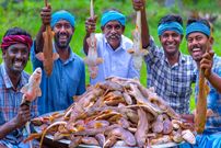 ببینید؛ غذای روستایی در هند؛ پخت خورشت کاری با 100 کوسه ماهی کوچک