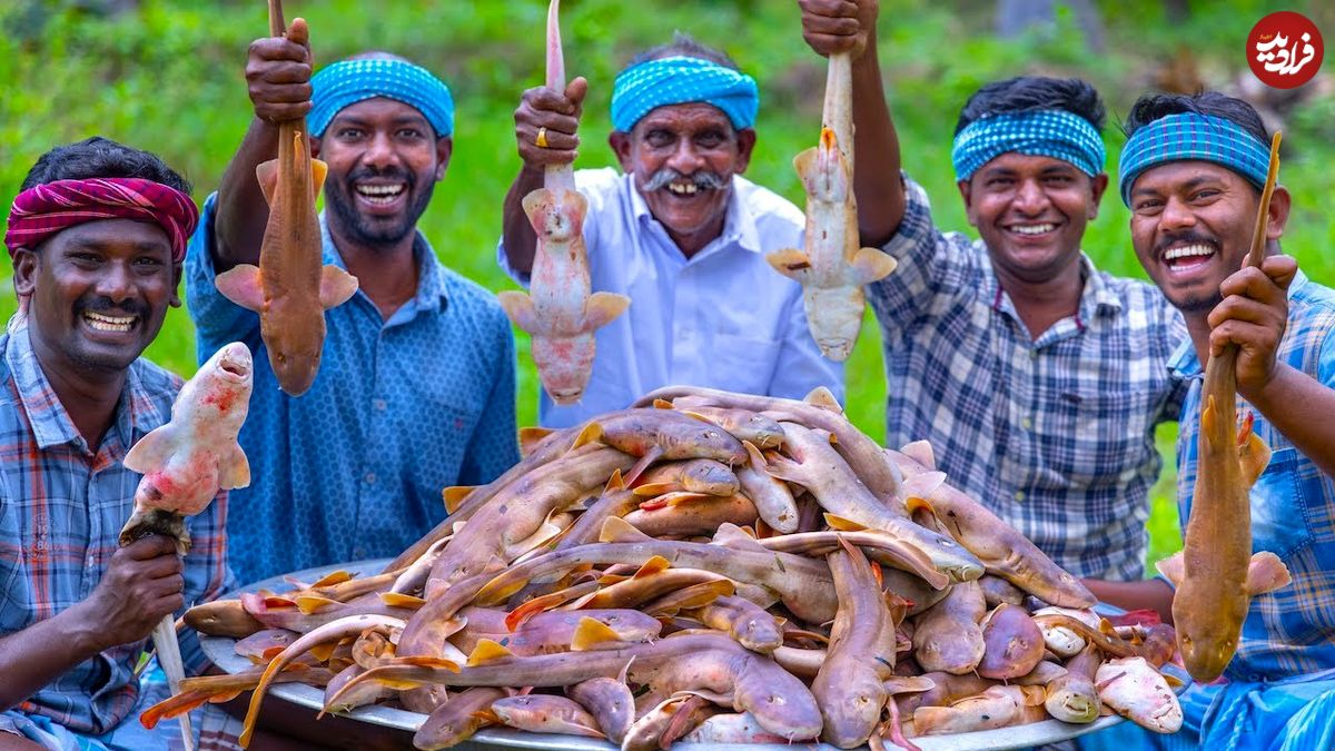 ببینید؛ غذای روستایی در هند؛ پخت خورشت کاری با 100 کوسه ماهی کوچک