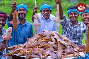 ببینید؛ غذای روستایی در هند؛ پخت خورشت کاری با 100 کوسه ماهی کوچک
