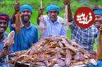 ببینید؛ غذای روستایی در هند؛ پخت خورشت کاری با 100 کوسه ماهی کوچک