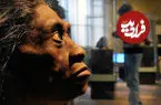 انسان‌تباران نه چندان هوشمند؛ هابیت‌ها باقی مانده غذای اژدهای کومودو را می‌خوردند