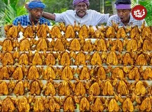 ببینید| غذای روستایی در هند؛ کباب ده ها مرغ کامل به روشی متفاوت در طبیعت