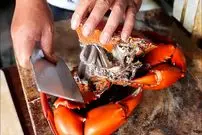 ببینید| غذای خیابانی در اندونزی؛ پخت یک غذای محبوب با خرچنگ و برنج در مانادو