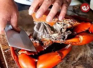 ببینید| غذای خیابانی در اندونزی؛ پخت یک غذای محبوب با خرچنگ و برنج در مانادو