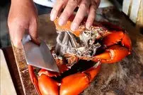 ببینید| غذای خیابانی در اندونزی؛ پخت یک غذای محبوب با خرچنگ و برنج در مانادو
