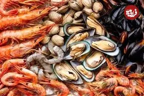 خرچنگ‌، هشت‌پا و صدف‌ در منو برخی رستوران‌ها
