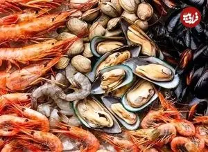 خرچنگ‌، هشت‌پا و صدف‌ در منو برخی رستوران‌ها