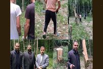 قطع ۶۴ درخت در ساری به دلیل انتقام جویی شخصی