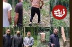 قطع ۶۴ درخت در ساری به دلیل انتقام جویی شخصی