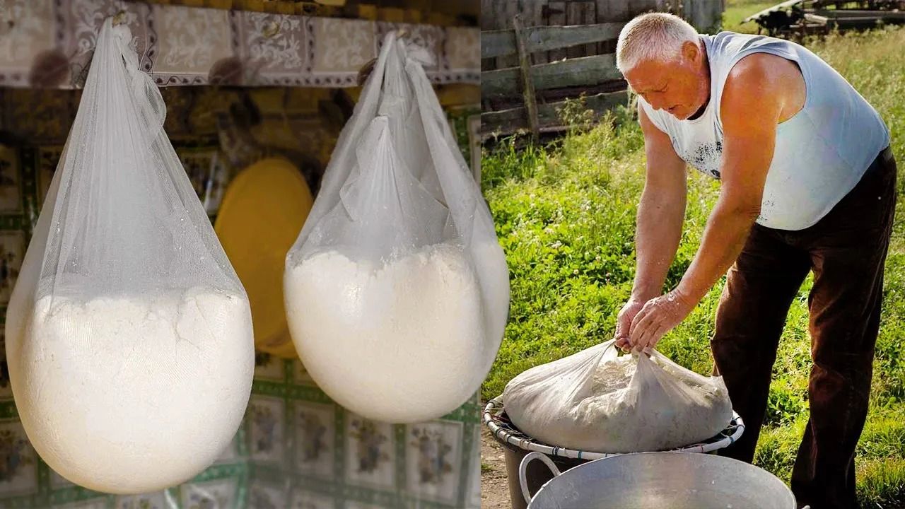 (ویدئو) دوشیدن میش ها و درست کردن پنیر با 40 کیلو شیر توسط پدربزرگ رومانیایی