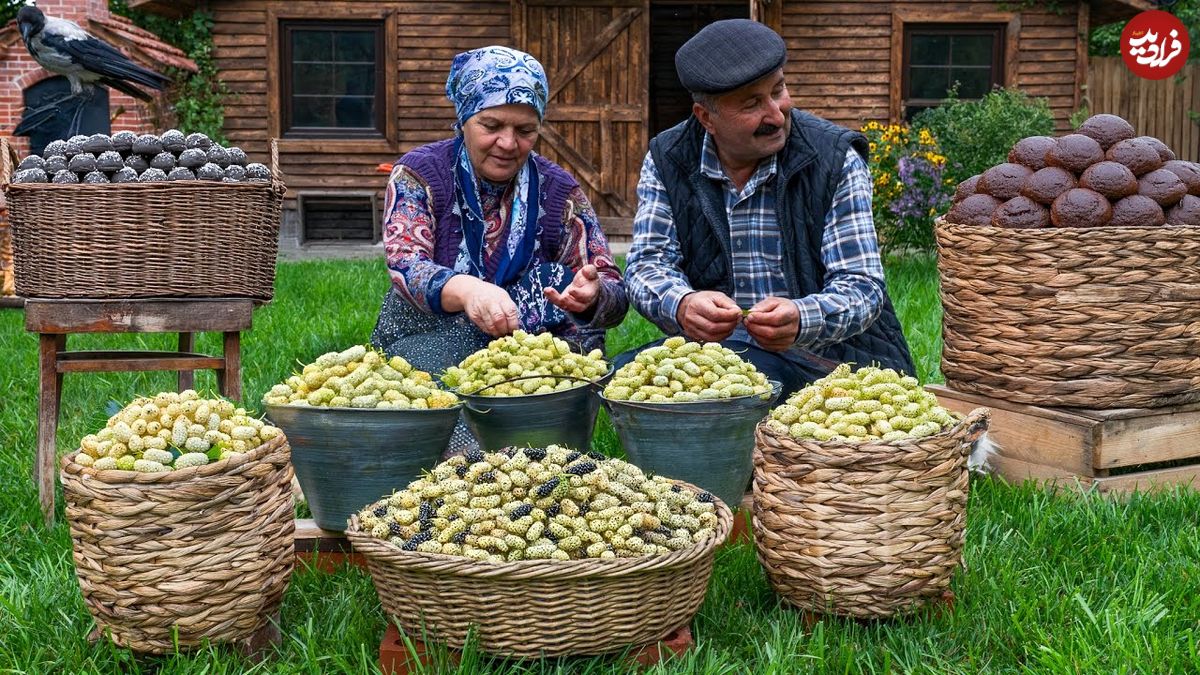 ببینید؛ غذای روستایی در آذربایجان؛ برداشت توت سفید و پخت مربا و شیرینی با آن
