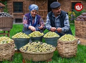 ببینید؛ غذای روستایی در آذربایجان؛ برداشت توت سفید و پخت مربا و شیرینی با آن