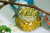طرز تهیه ترشی غوره؛ ترشی خوشمزه فصل تابستان
