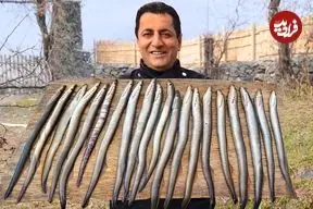 ببینید| غذای روستایی در آذربایجان؛ کباب کردن مارماهی دهان گرد روی آتش