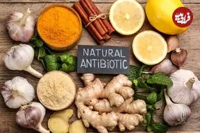 آنتی‌بیوتیک‌های طبیعی که باید به رژیم غذایی اضافه کنید
