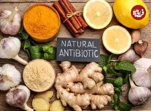آنتی‌بیوتیک‌های طبیعی که باید به رژیم غذایی اضافه کنید