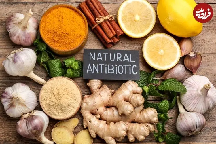 آنتی‌بیوتیک‌های طبیعی که باید به رژیم غذایی اضافه کنید