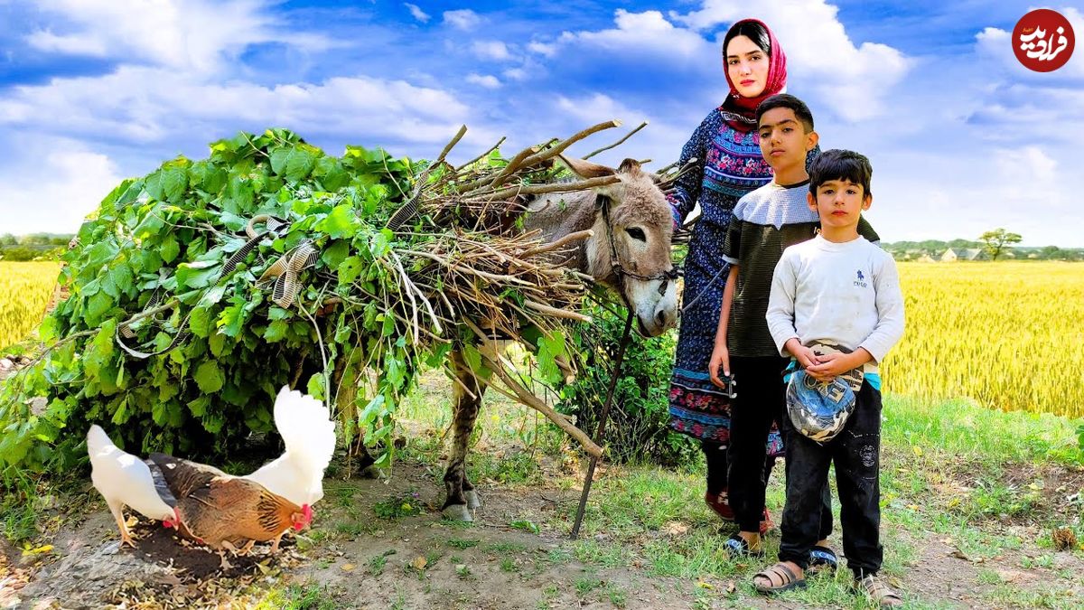 ببینید؛ غذای روستایی در ایران؛ پخت یک خوراک متفاوت با مرغ، هویج و سیب زمینی