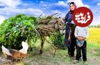ببینید؛ غذای روستایی در ایران؛ پخت یک خوراک متفاوت با مرغ، هویج و سیب زمینی