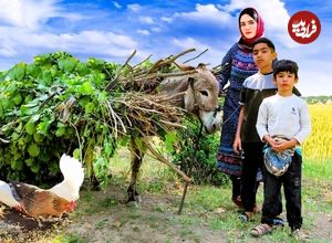 ببینید؛ غذای روستایی در ایران؛ پخت یک خوراک متفاوت با مرغ، هویج و سیب زمینی