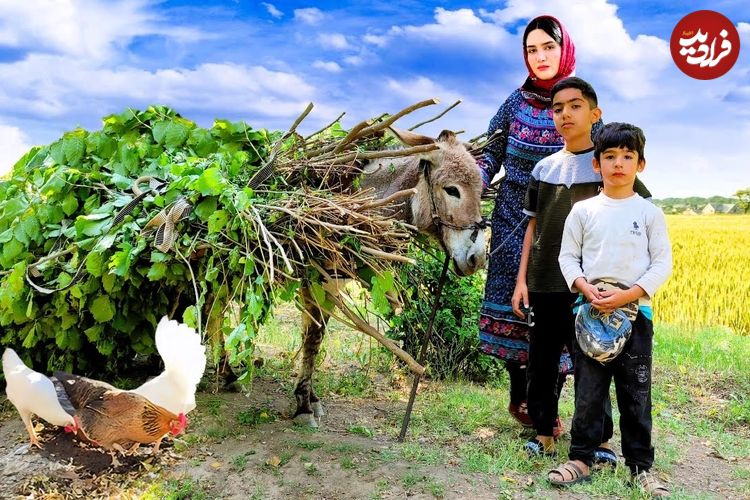 ببینید؛ غذای روستایی در ایران؛ پخت یک خوراک متفاوت با مرغ، هویج و سیب زمینی