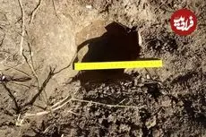 کوزۀ پر از سکّه‌های عثمانی که از زیر حیاط زندان بیرون آمد