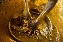 (تصاویر) روغن باستانی آفریقایی چگونه جنگل‌های آسیا را می‌بلعد؟  
