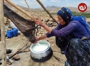 (عکس) سفر به ایران قدیم؛ «زن عشایری در حال مشک زدن-بیستون کرمانشاه»؛ سال 1325