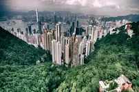 تصاویر| شهرهایی که جهان را سرسبزتر کرده‌اند