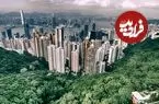 تصاویر| شهرهایی که جهان را سرسبزتر کرده‌اند