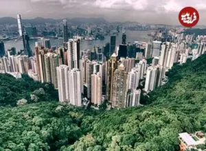 تصاویر| شهرهایی که جهان را سرسبزتر کرده‌اند