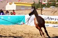 تصاویر| جشن خانوادگی و نمایش اسب‌های فاخر یزد