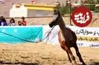تصاویر| جشن خانوادگی و نمایش اسب‌های فاخر یزد