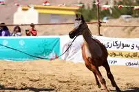 تصاویر| جشن خانوادگی و نمایش اسب‌های فاخر یزد