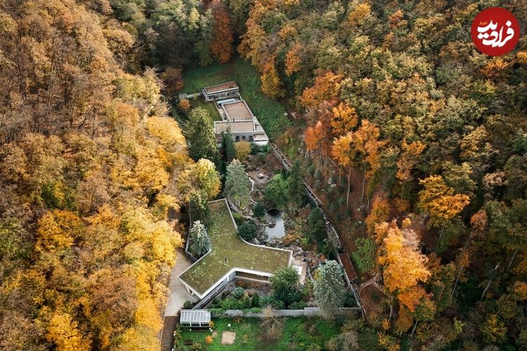 تصاویر؛ معماری فوق‌العادۀ خانه‌ای با باغ سنگی در میان جنگل