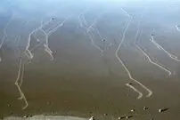 راز سنگ‌های متحرک دره مرگ در کالیفرنیا