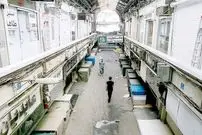 روزی ۱۰۰میلیون دلار خسارت تعطیل شدن کشور است/ چگونه می‌توان از زیان‌دیدگان اقتصاد حمایت کرد؟