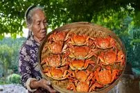 ببینید| غذای روستایی در چین؛ صید 40 خرچنگ و پخت غذای سنتی با آن