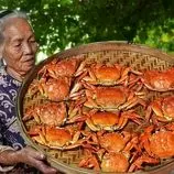 ببینید| غذای روستایی در چین؛ صید 40 خرچنگ و پخت غذای سنتی با آن